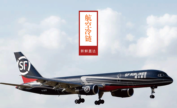 预售!2018年露天头茬蓝莓鲜果特级大果顺丰包